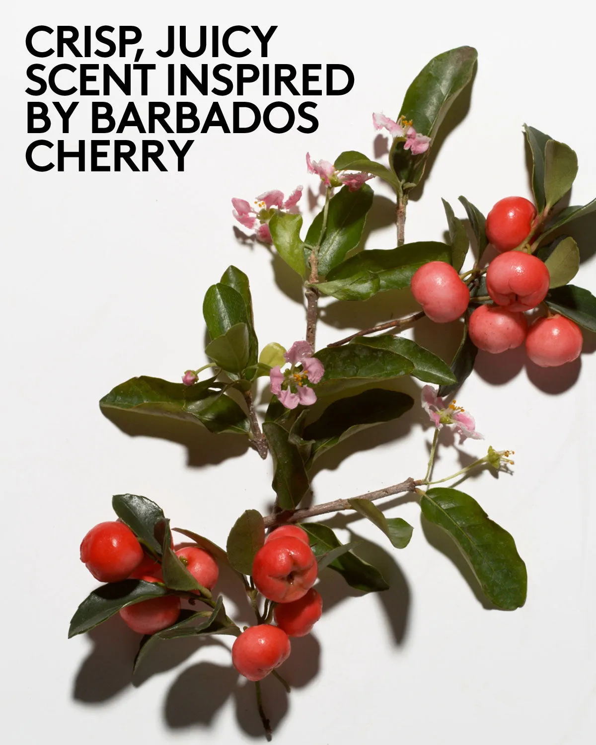 Cherry Dub Triple Action AHA Body Scrub Fenty Beauty
