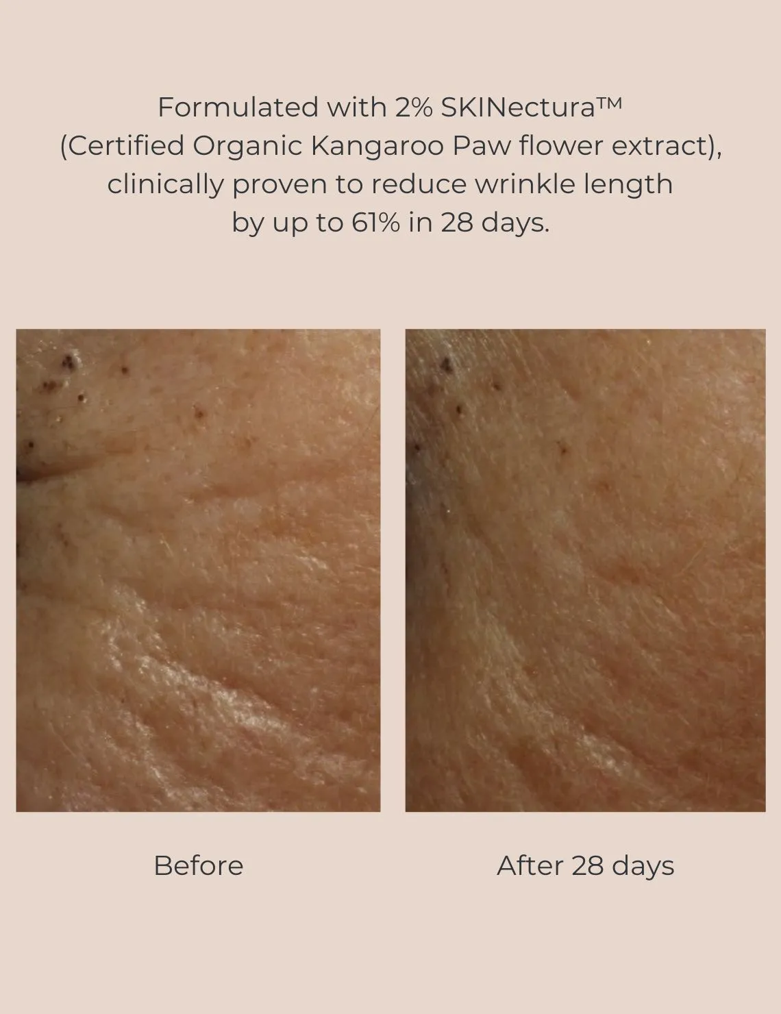 Long-Last Foundation Bundle Inika Organic
