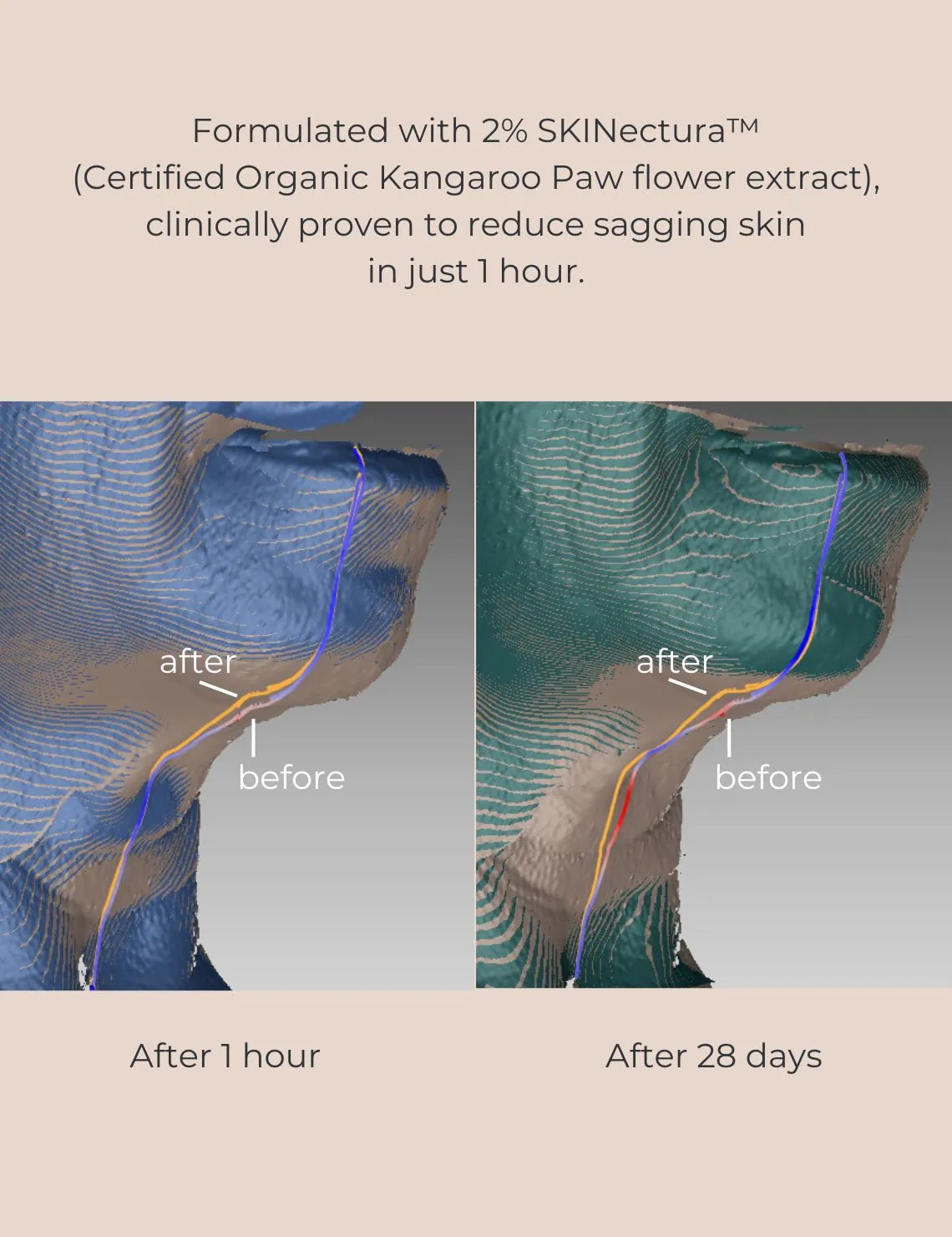 Long-Last Foundation Bundle Inika Organic