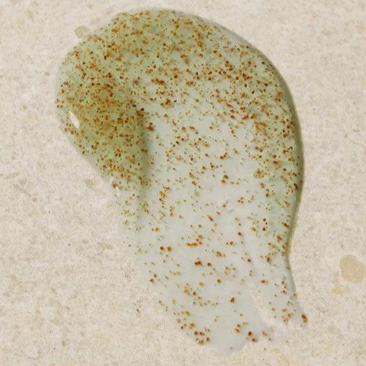 Seaweed Oil-Control Exfoliator The Body Shop